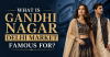 Gandhi Nagar Delhi Cloth Market – Asia Largest Wholesale Garment Hub